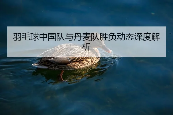 羽毛球中国队与丹麦队胜负动态深度解析